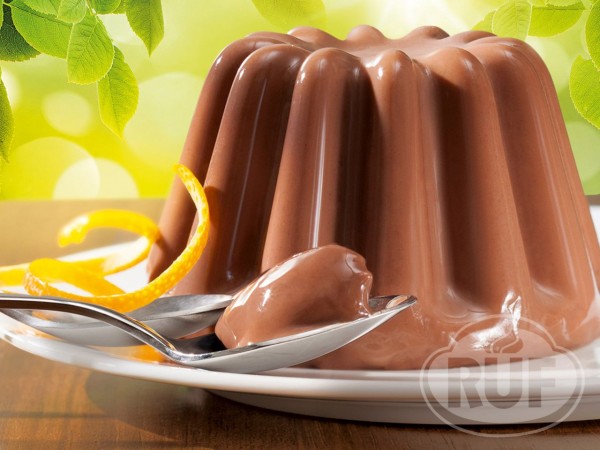 Pudding Bio Schokolade 2er Pack 2x46g