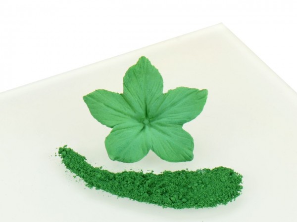 RD Plain & Simple Green - Ivy Green Farbstaub