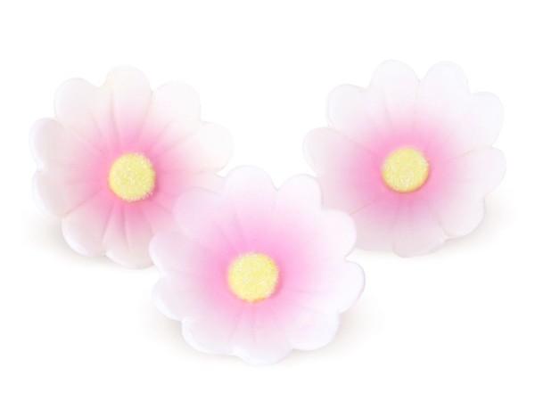 Zuckerdekor Blumen weis-rosa 6 Stk 40mm